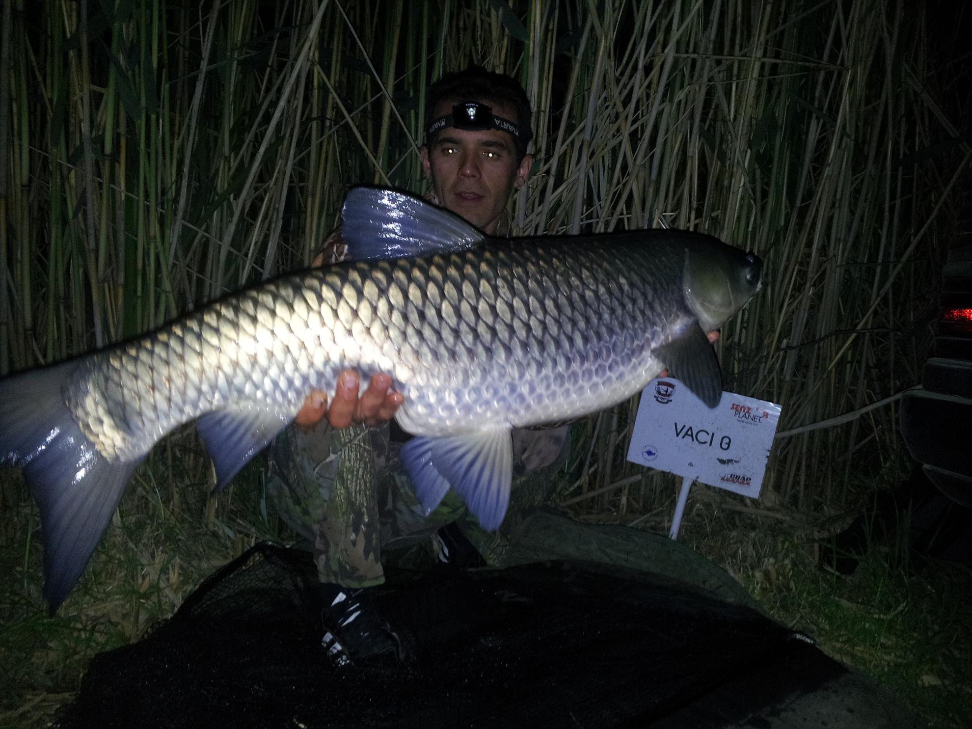 tancabesti 11-12'05''2013 - 20130512012934.jpg